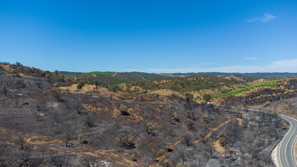 Fototapeta na wymiar Aerial drone view of burned forest next to the road. Dark land and black trees caused by fire. Forest fire. Climate change, ecology and land. 