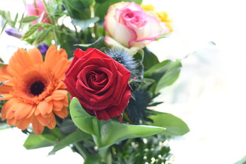 Beautiful flowers together as a gift.