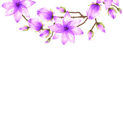 An isolated watercolor illustration of a half-round element with floral magnolia motif, an real aquarelle paper texture on white background for design of text, greeting and invitation cards, backdrops