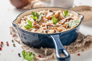 Homemade mushrooms risotto with wild boletus and herbs