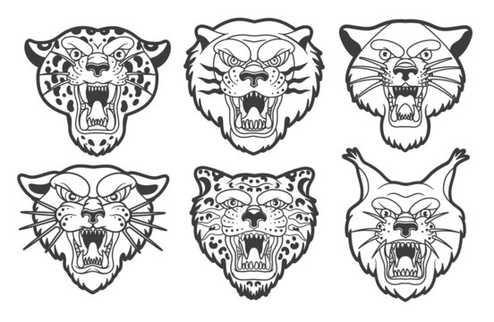 Mascot Logo Collection. Head Of Leopards, Lion, Lunx, Tiger Isolated Vector Illustration. 