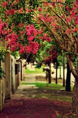 Naklejka premium Paisaje florido