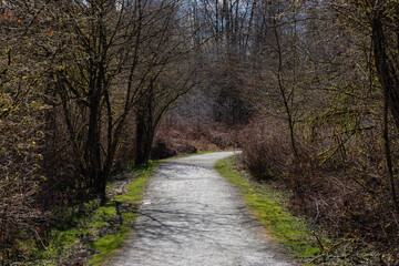 Fototapeta premium Scenic Trail in a city park with green trees during sunny winter day