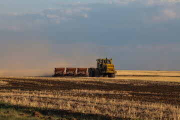 Fototapeta premium Kostanay Province, Kazakhstan - May 01, 2019: Tractor seeds wheat in field on sunset. Sowing season.