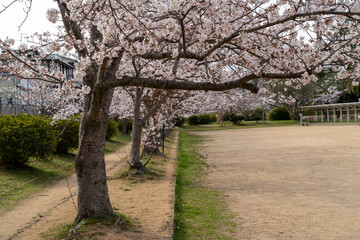Obraz premium 日岡山公園