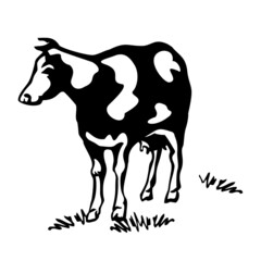 Cow in the meadow. Production of natural milk.