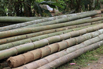 pile of chopped bamboo for traditional building