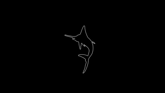 white linear shark silhouette. the picture appears and disappears on a black background.
