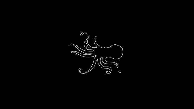 white linear octopus silhouette. the picture appears and disappears on a black background.
