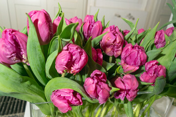 Obraz premium Tulip Bouquet, Spring Tulipa Flowers
