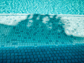 Swimming pool and water clarity