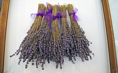 Drying lavender - New Zealand