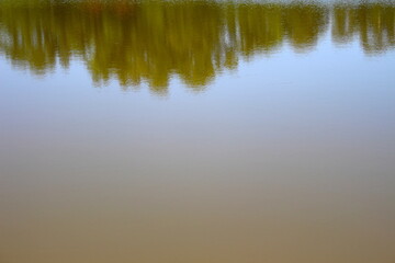Fototapeta na wymiar reflexo das árvores no do lago do parque, paisagem natural, paisagem relaxante
