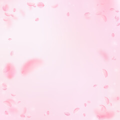 Sakura petals falling down. Romantic pink flowers vignette. Flying petals on pink square background. Love, romance concept. Incredible wedding invitation.