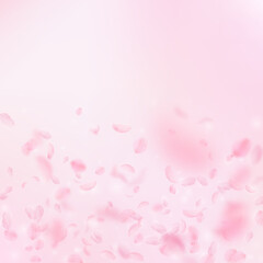 Sakura petals falling down. Romantic pink flowers gradient. Flying petals on pink square background. Love, romance concept. Splendid wedding invitation.