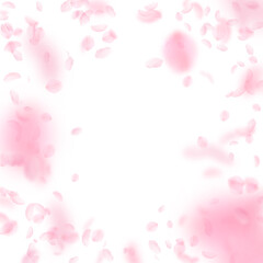 Sakura petals falling down. Romantic pink flowers vignette. Flying petals on white square background. Love, romance concept. Good-looking wedding invitation.