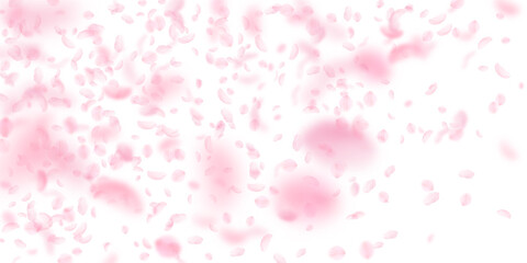 Sakura petals falling down. Romantic pink flowers gradient. Flying petals on white wide background. Love, romance concept. Popular wedding invitation.