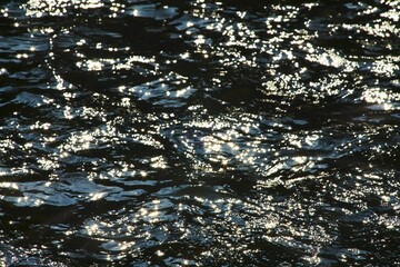 Water with sunlight giving reflections of the sunlight