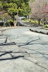 福岡市の舞鶴公園の福岡城松の木坂風景