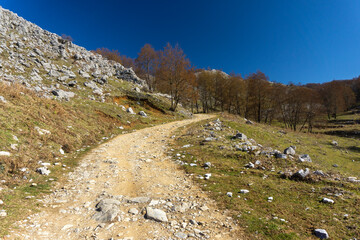 mountain pathway in the rocky mountains road