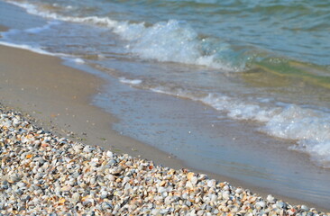 sea ​​waves and sandy seashore with shells.background