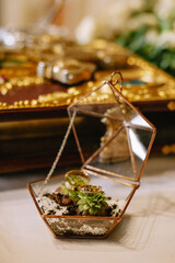 Silver wedding rings stand on glass box on table in church. Wedding rings in a glass box.