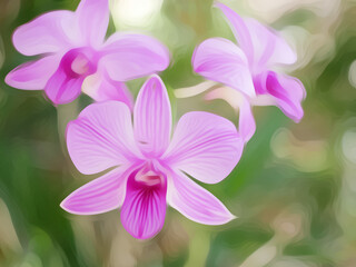 pink orchid flower illustration for wallpaper art 