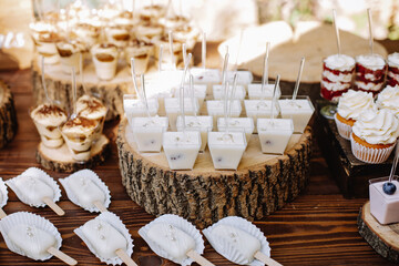 Bright muffins, cupcakes and tiramisu on wooden stands at a rustic wedding.