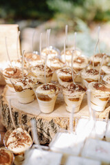 Bright muffins, cupcakes and tiramisu on wooden stands at a rustic wedding.