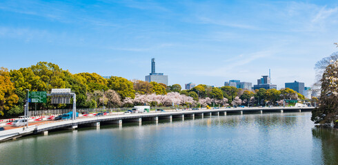 東京　青空と都市風景