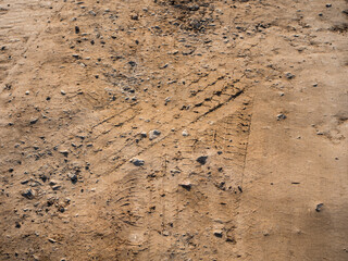 Tire tracks are visible in dry soil. 
