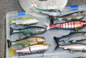 A selection of rainbow trout swimbaits used for bass