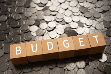 予算のイメージ｜「BUDGET」と書かれた積み木とコイン