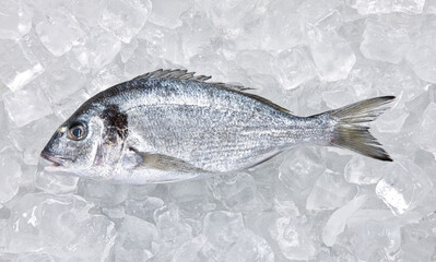 Fresh fish on ice at the fish market