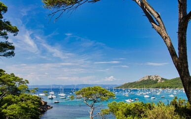 the splendid sandy beaches of the island of Porquerolles, hyerès in France. the caribbean sea in europe