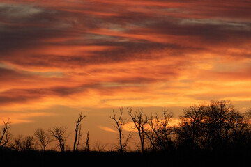 sunset over the field