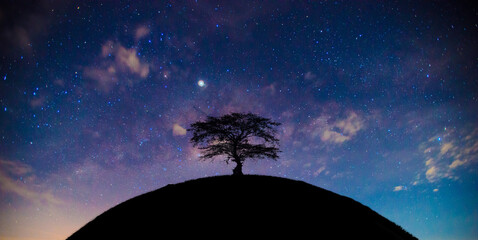 silhouette of a large tree , towering over the arc of earth , on milky way background.