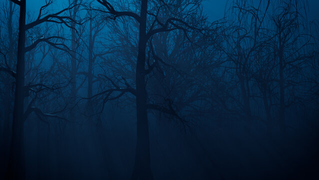 Ghostly Halloween Forest Scene at Night.