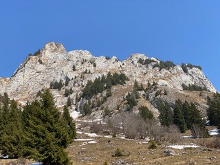 Fototapeta na wymiar Rocky peak Dejenstogg or Dejenstock (2022 m) in the Glarus Alps mountain range, over the Klöntalersee (or Kloentalersee) reservoir lake and Klöntal alpine valley - Canton of Glarus, Switzerland