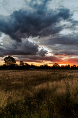 sunset over the field