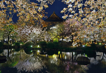 Cherry trees and pond at To-ji Temple in Kyoto City