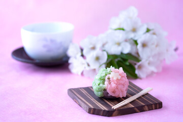 春の和菓子　さくらと若葉の練り切りと緑茶と桜の小枝（オオシマザクラ）