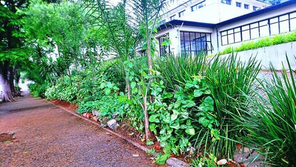 Parque da Independência, opened in 1989, on the banks of the stream in the Ipiranga district, in the city of São Paulo, is part of the Brazilian cultural heritage due to the country's Cry for Independ