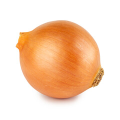 Whole sweet onion bulb, in horizontal side view, isolated on white background with clipping path,...