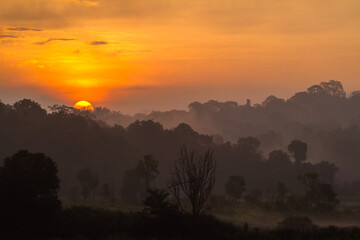 sunrise over the forest
