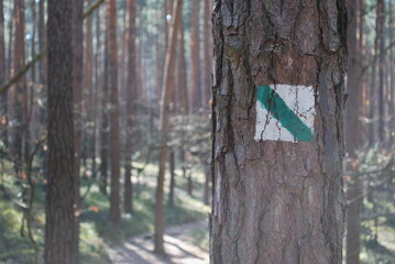 Trail marker on a tree.  Poland