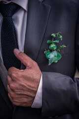 businessman holding a green plant
