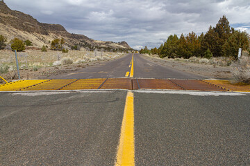 cattle guard across Oregon highway