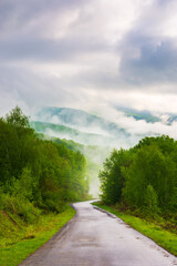 Fototapeta na wymiar dramatic foggy weather in spring. carpathian countryside landscape in mountains. asphalt road winding through forest
