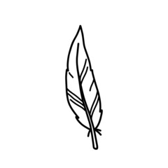 Bird feather isolated on white background. Vector hand-drawn illustration in doodle style. Perfect for cards, decorations, logo, various designs.